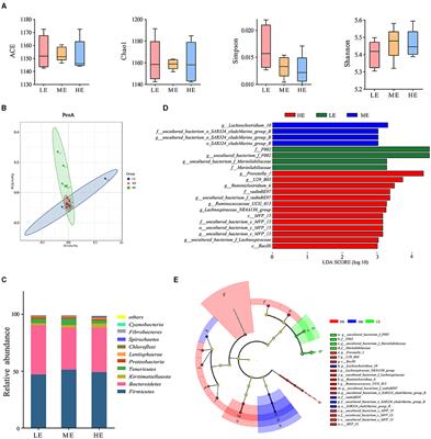 Dietary Energy Levels Affect Carbohydrate Metabolism-Related Bacteria and Improve Meat Quality in the Longissimus Thoracis Muscle of Yak (Bos grunniens)